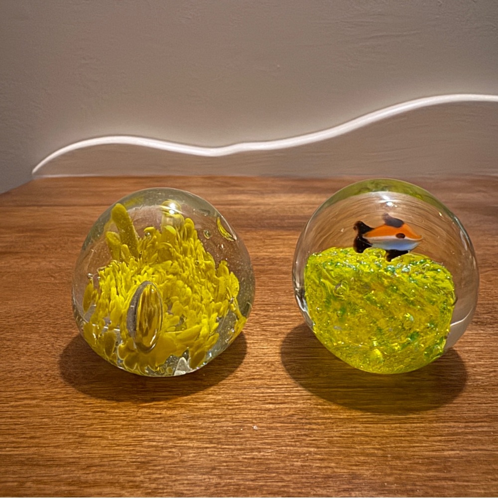 3. Glass Paperweight Aquarium Collectible